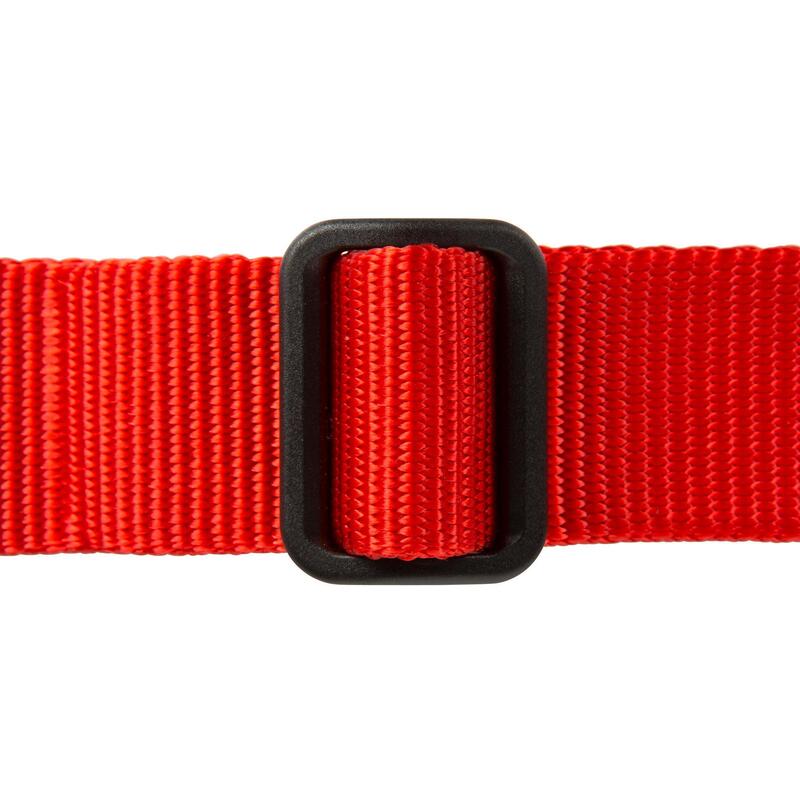 Collier chien 100 rouge