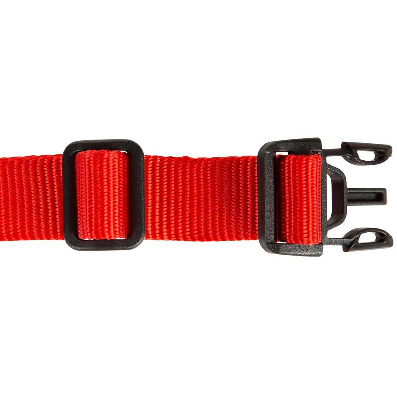 Collier chien 100 rouge