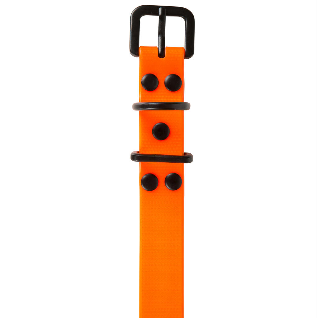 Dog collar Neon Orange 500