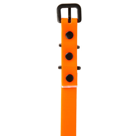 Neon narandžasta ogrlica za psa 500