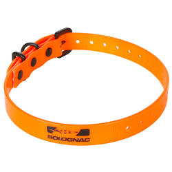 Collier chien 300 orange