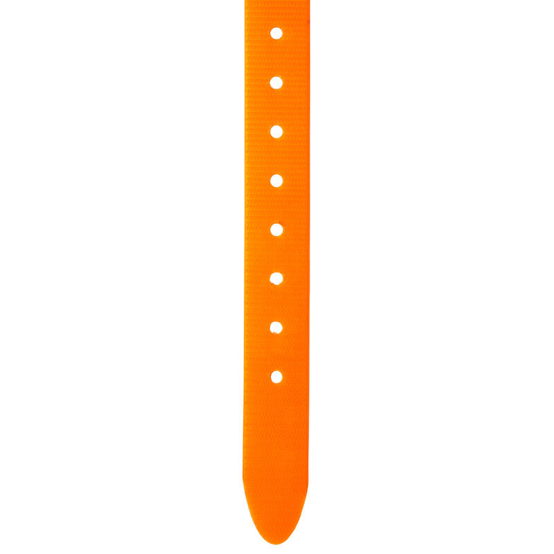 Collier chien Orange fluo 500