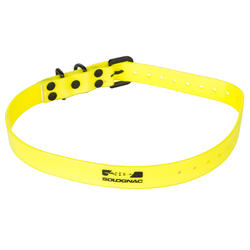 Collier chien 300 jaune