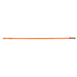 Laisse chien orange 100