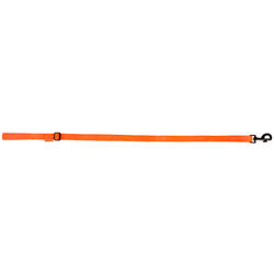 Laisse chien orange 100