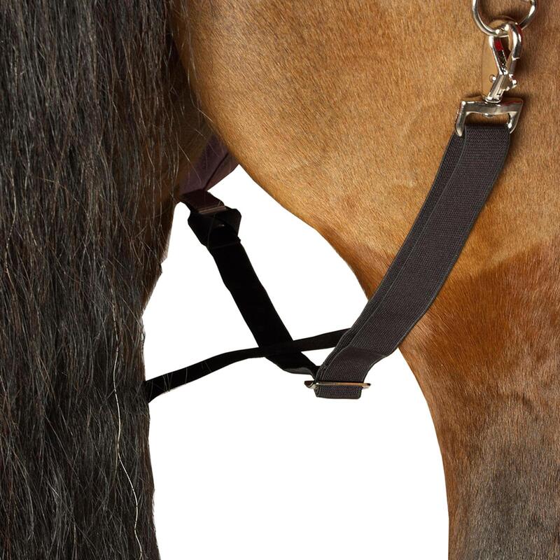 Pătură Protecţie Echitaţie Exterior Impermeabilă Allweather Light Maro Ponei/Cal 