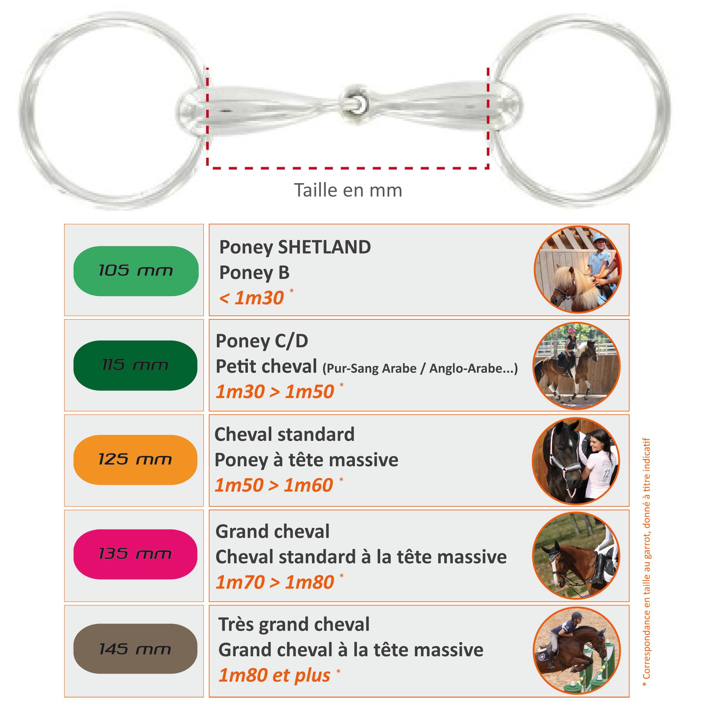 Horseback Riding Pelham Bit for Horse and Pony Stainless Steel Dark