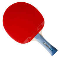 FR 800 Set of 2 Free Table Tennis Bats and 3 Balls