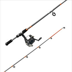 ESSENTIAL LEDGERING SET - ORANGE