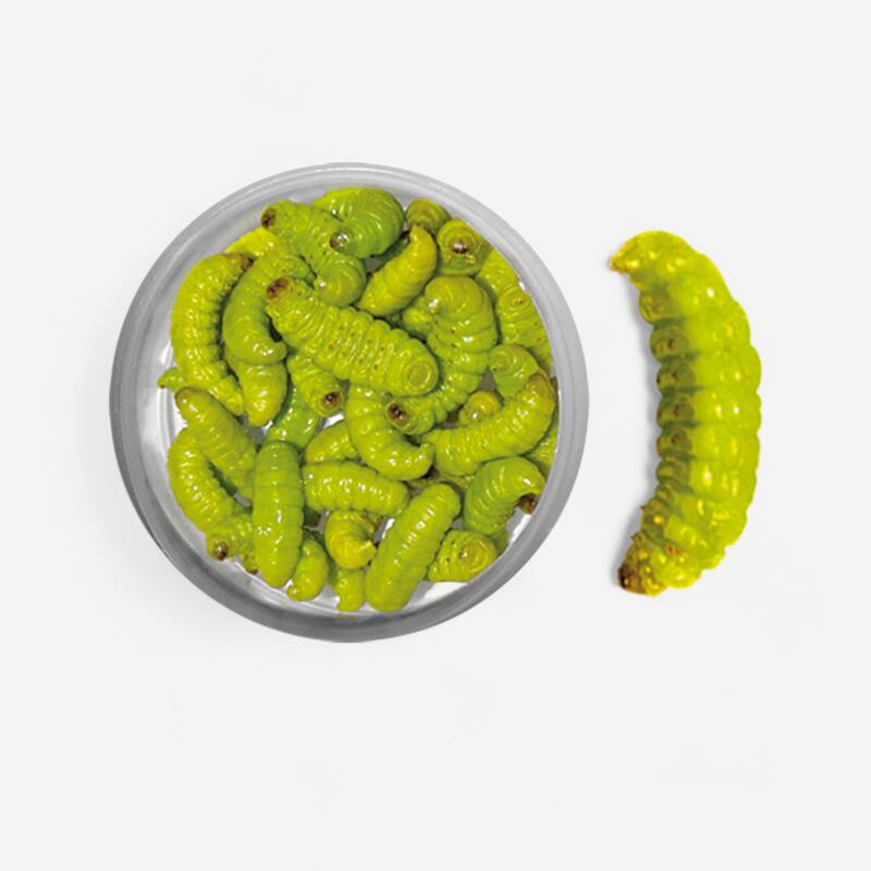 Cebo Pesca Trucha Polillas Momificadas Verde