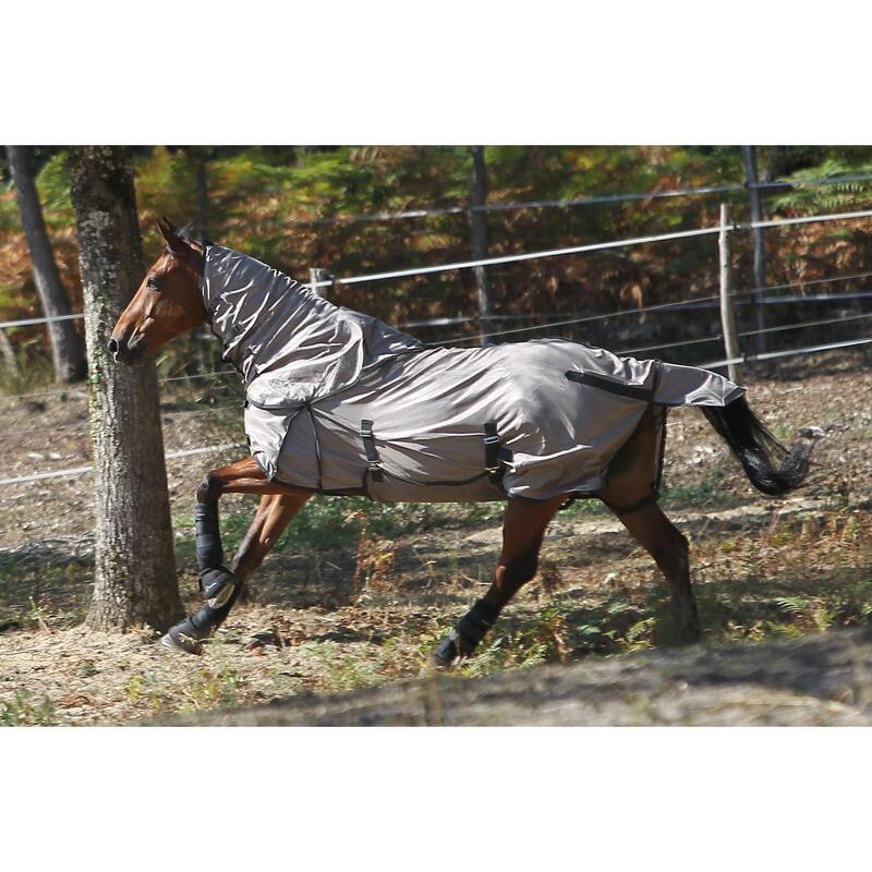 Chemise antimouche équitation chevaux et poneys beige