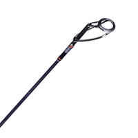 XTREM-9 300 Carp Fishing Rod