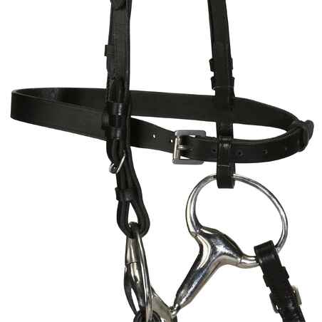 Horse Riding Leather Bridle With French Noseband & Reins for Horse & Pony 100