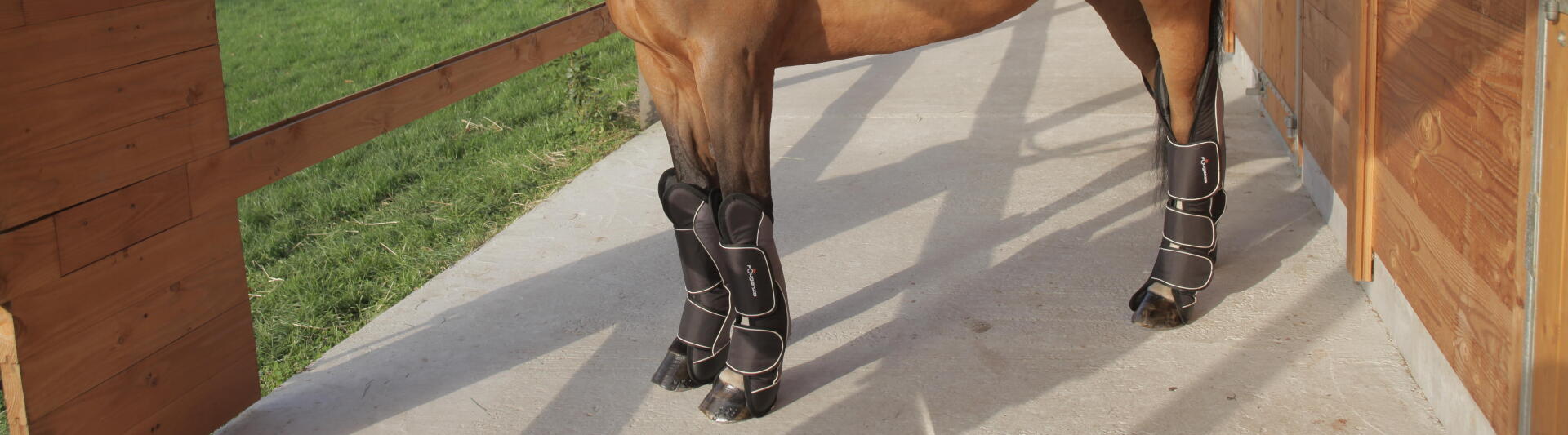 Bandes & sous-bandages pour ton cheval