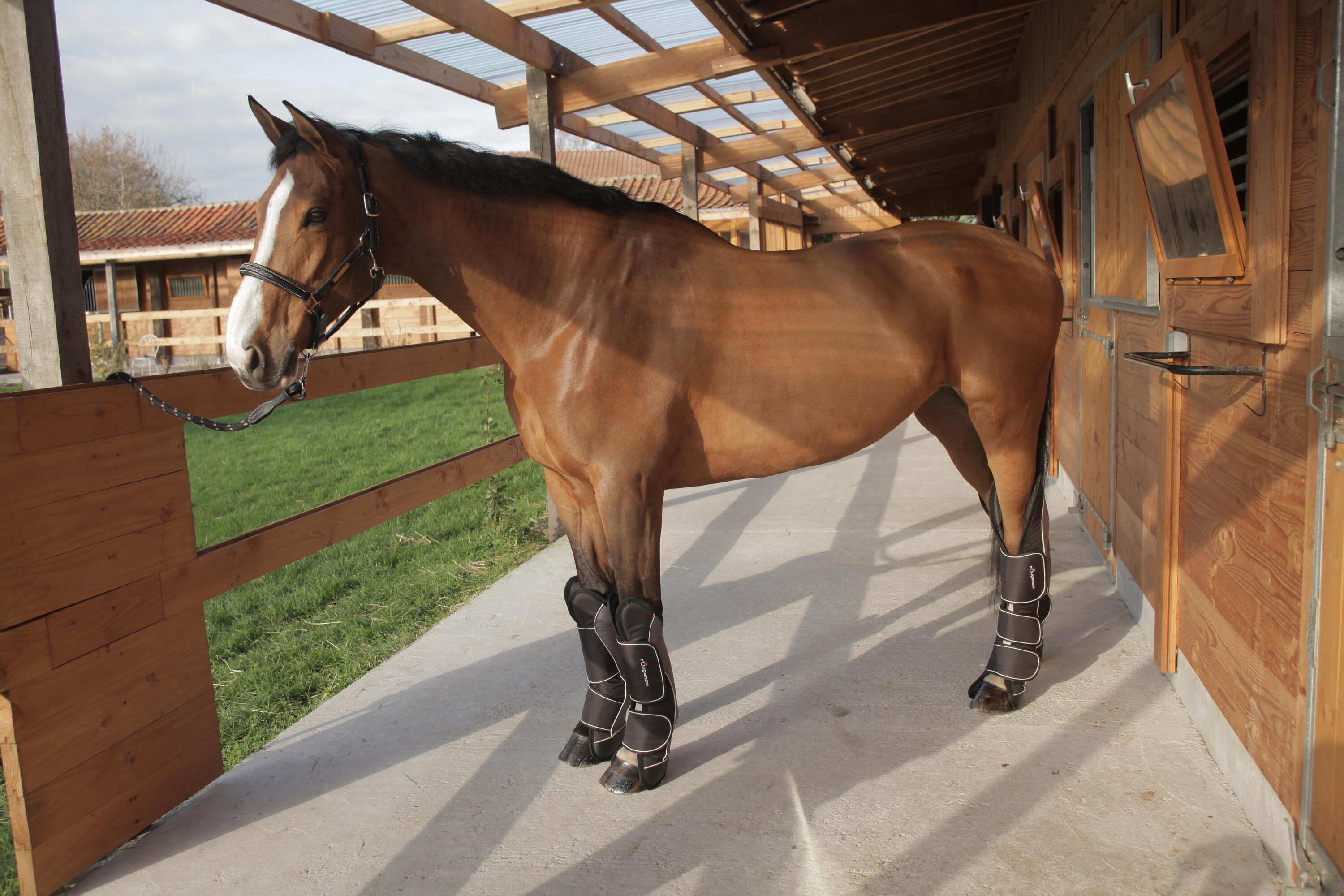 4 transportbeschermers ruitersport paard Traveller 500 zwart en grijs 2/3