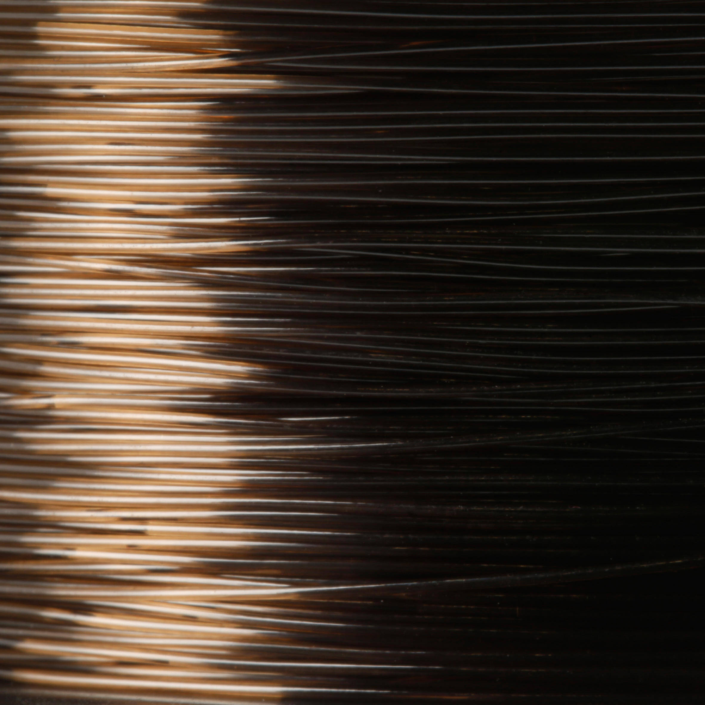 Fishing Line Monofilament 300M - Dark Brown -  4
