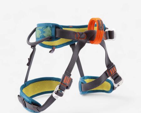 Harness
