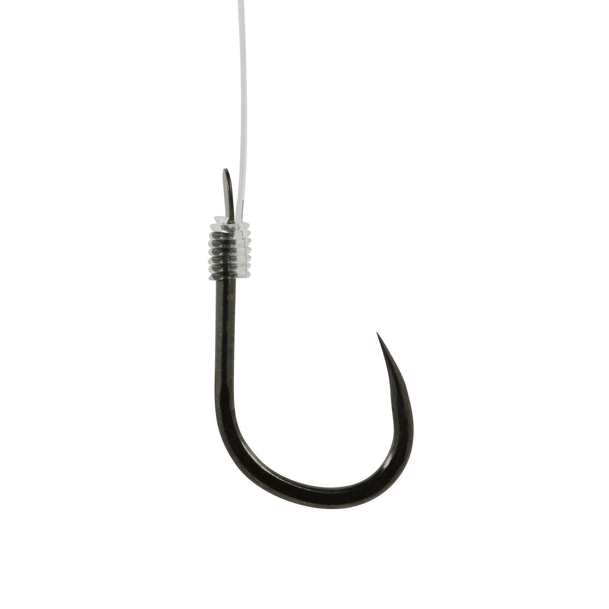 Mounted hooks Carp