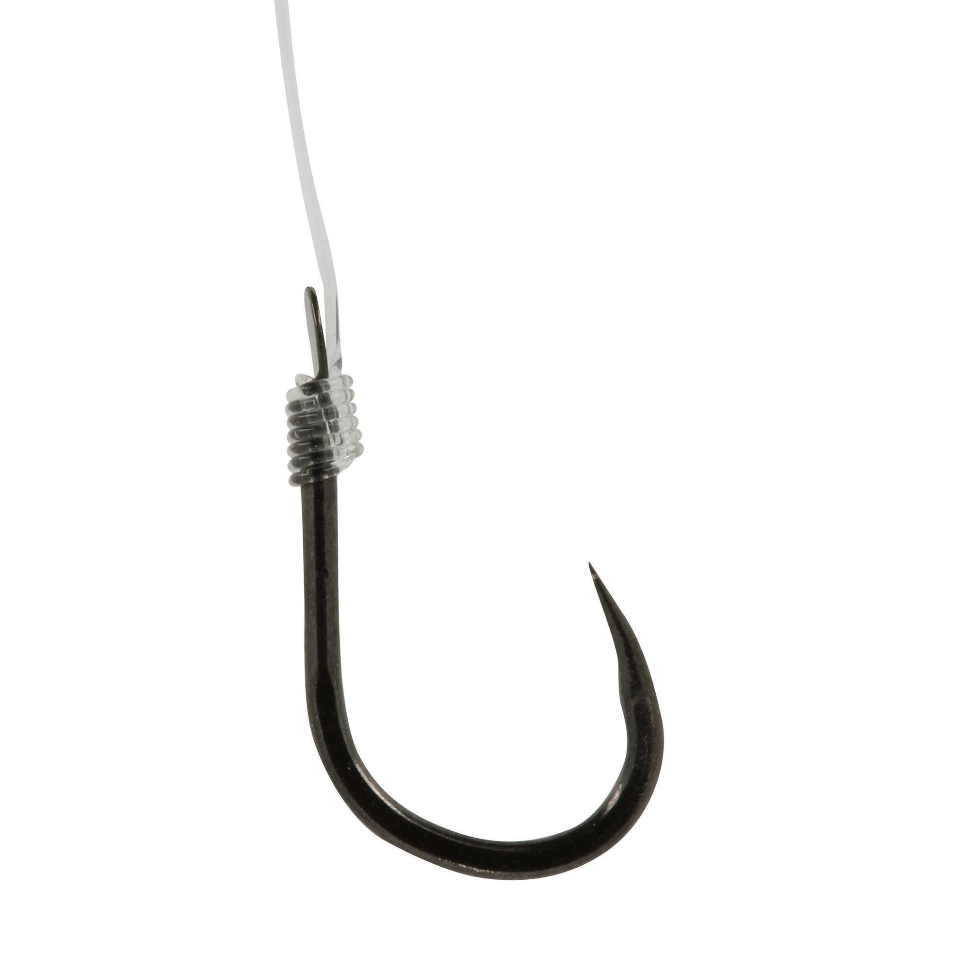 Mounted hooks Carp