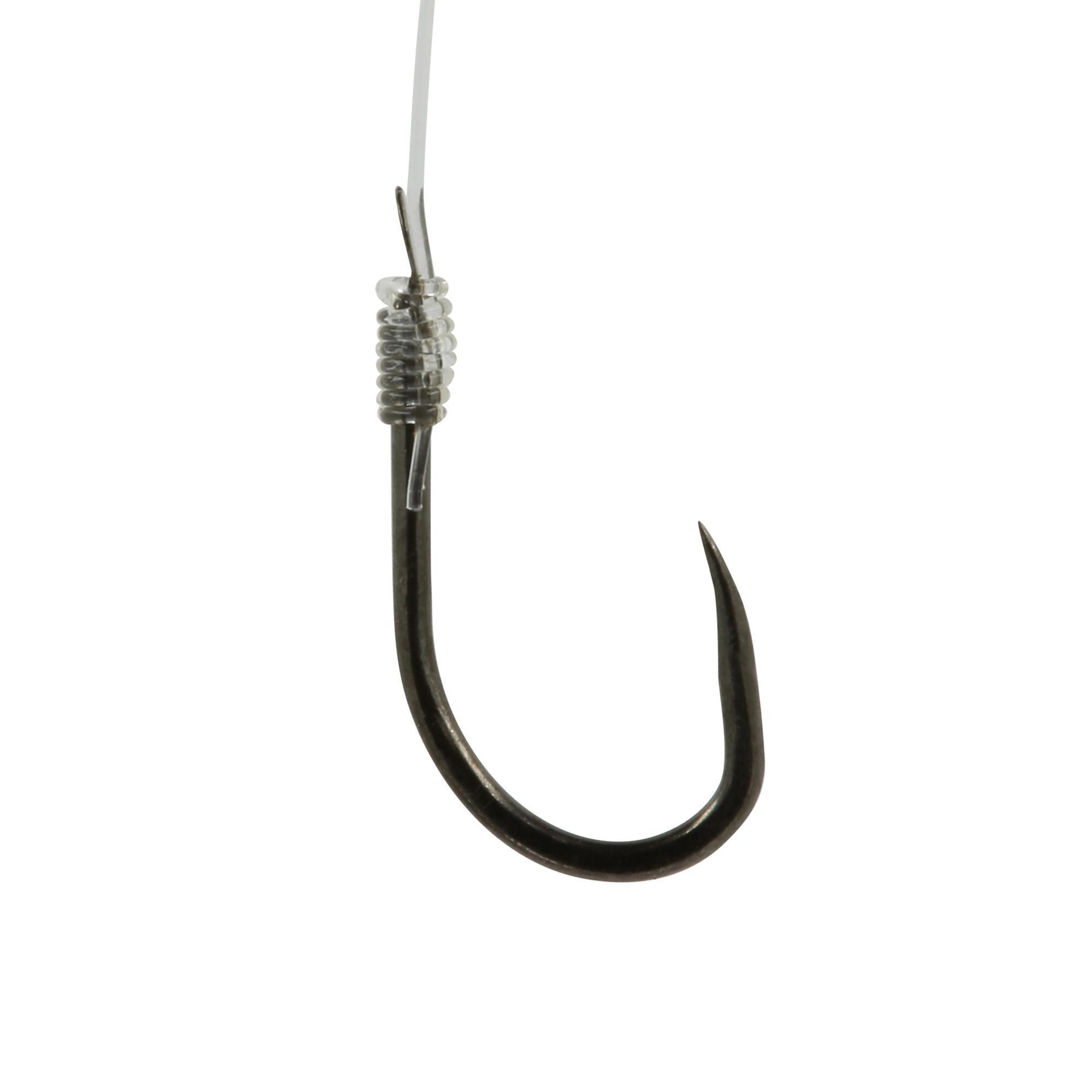 Mounted hooks Carp