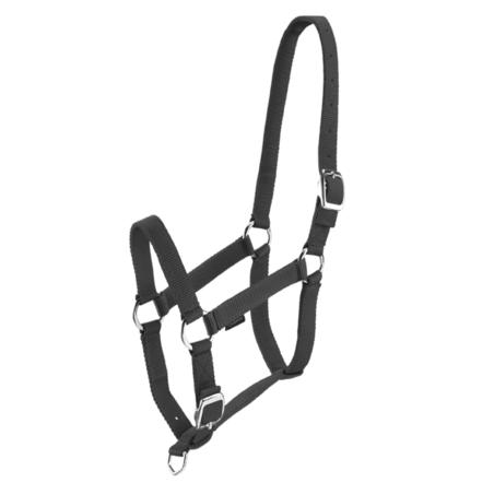 Schooling Horse Riding Halter for Horse and Pony - Black