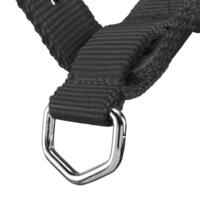 Schooling Horse Riding Halter for Horse and Pony - Black