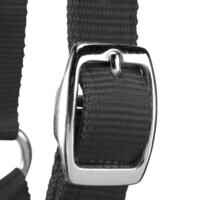 Schooling Horse Riding Halter for Horse and Pony - Black