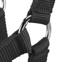 Schooling Horse Riding Halter for Horse and Pony - Black