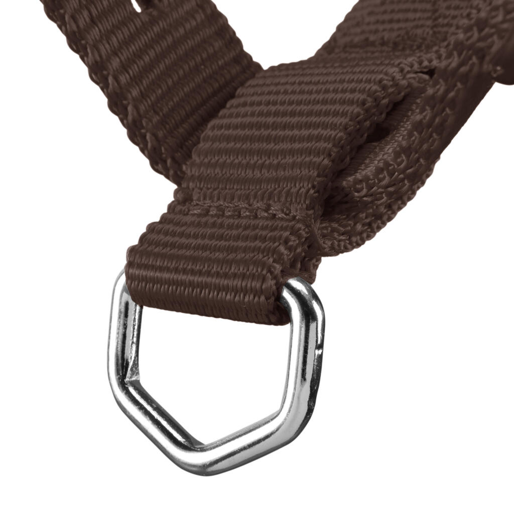 Schooling Horse Riding Halter for Horse and Pony - Brown