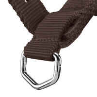 Schooling Horse Riding Halter for Horse and Pony - Brown