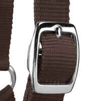 Schooling Horse Riding Halter for Horse and Pony - Brown