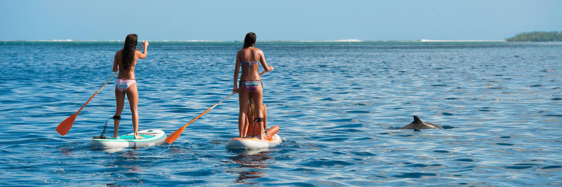 Cómo hacer paddle surf: la guía definitiva