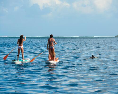 Cómo hacer paddle surf: la guía definitiva