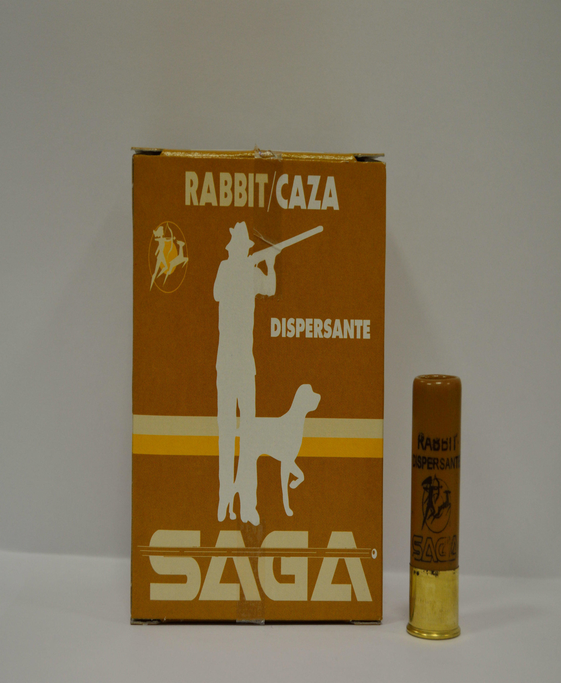 SAGA picture