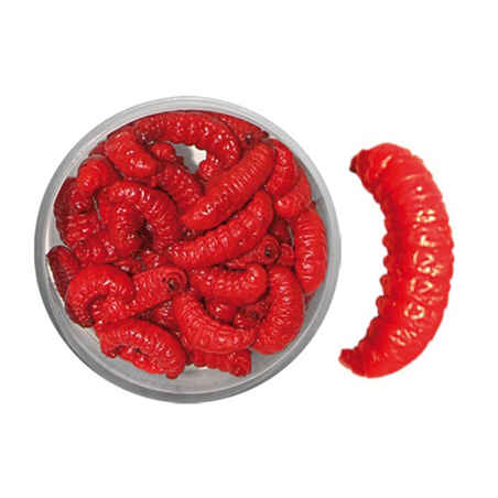 Bete öringmete mumifierade larver röda