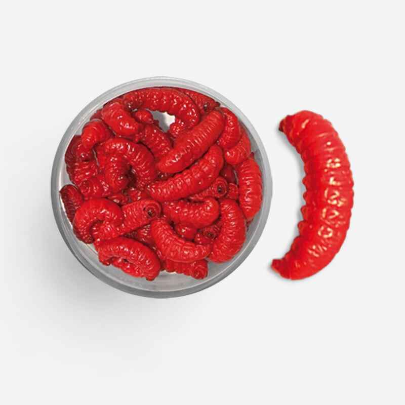 Bienenmaden mumifiziert rot