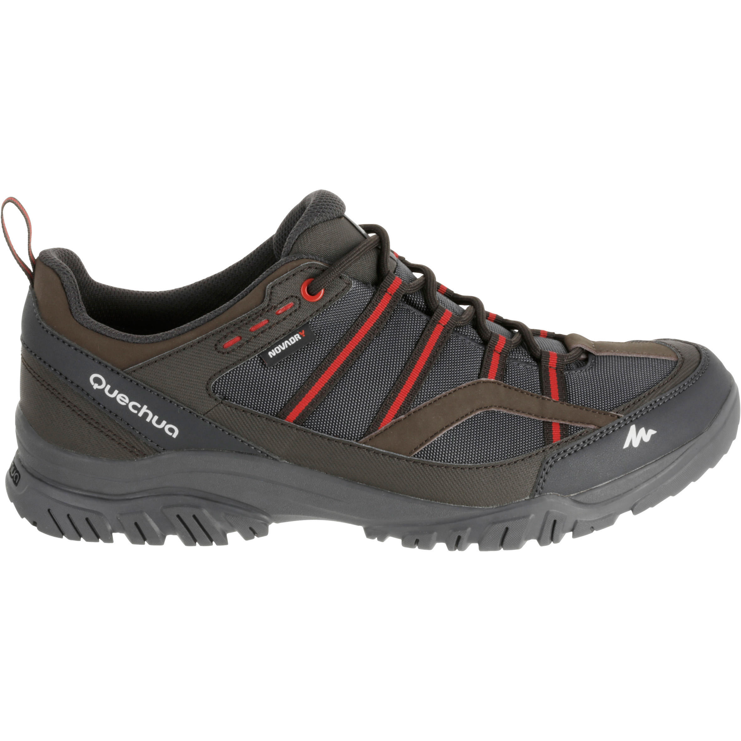 quechua arpenaz 100 shoes