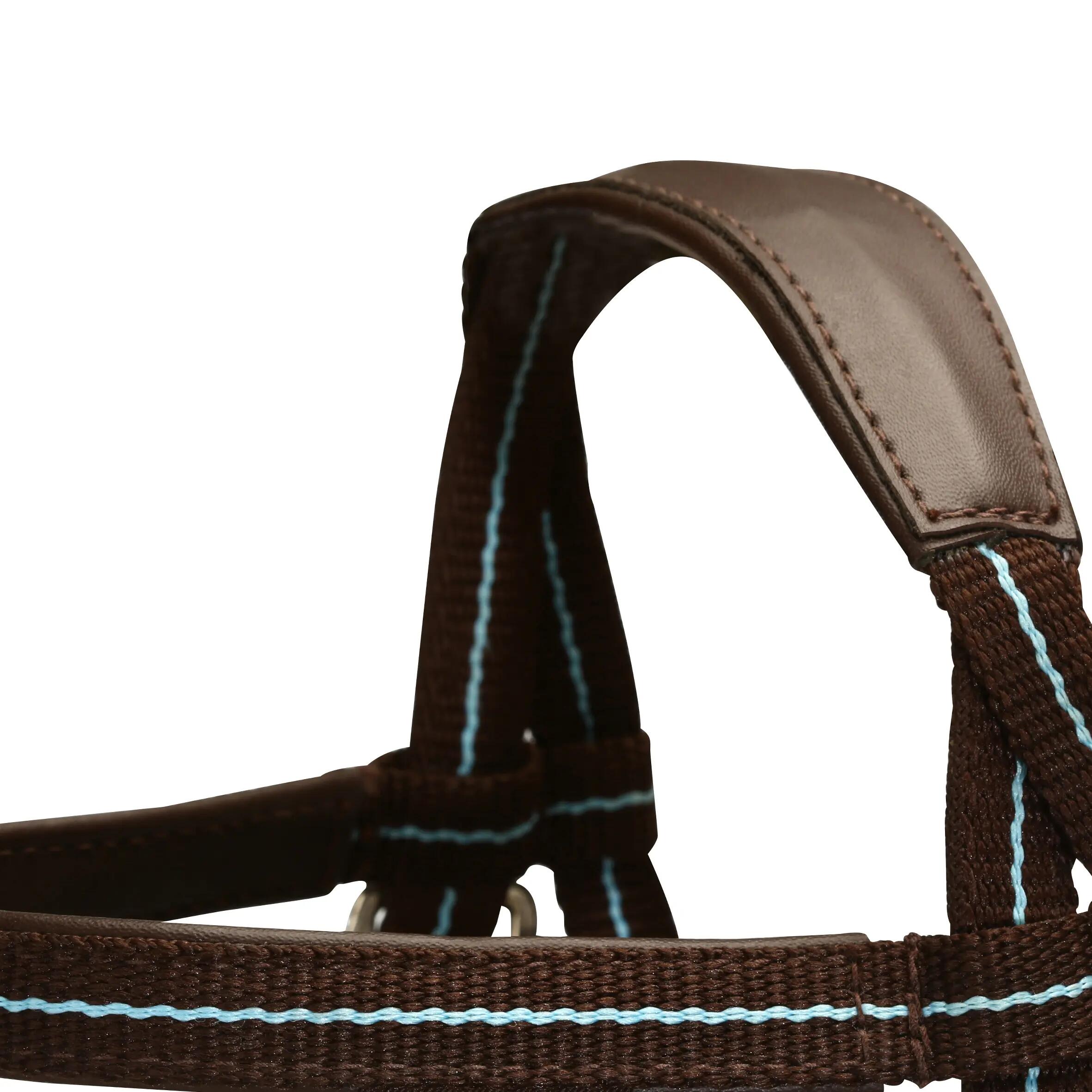 Initiation Horse Riding Pony Bridle + Reins - Brown/Sky Blue 2/14