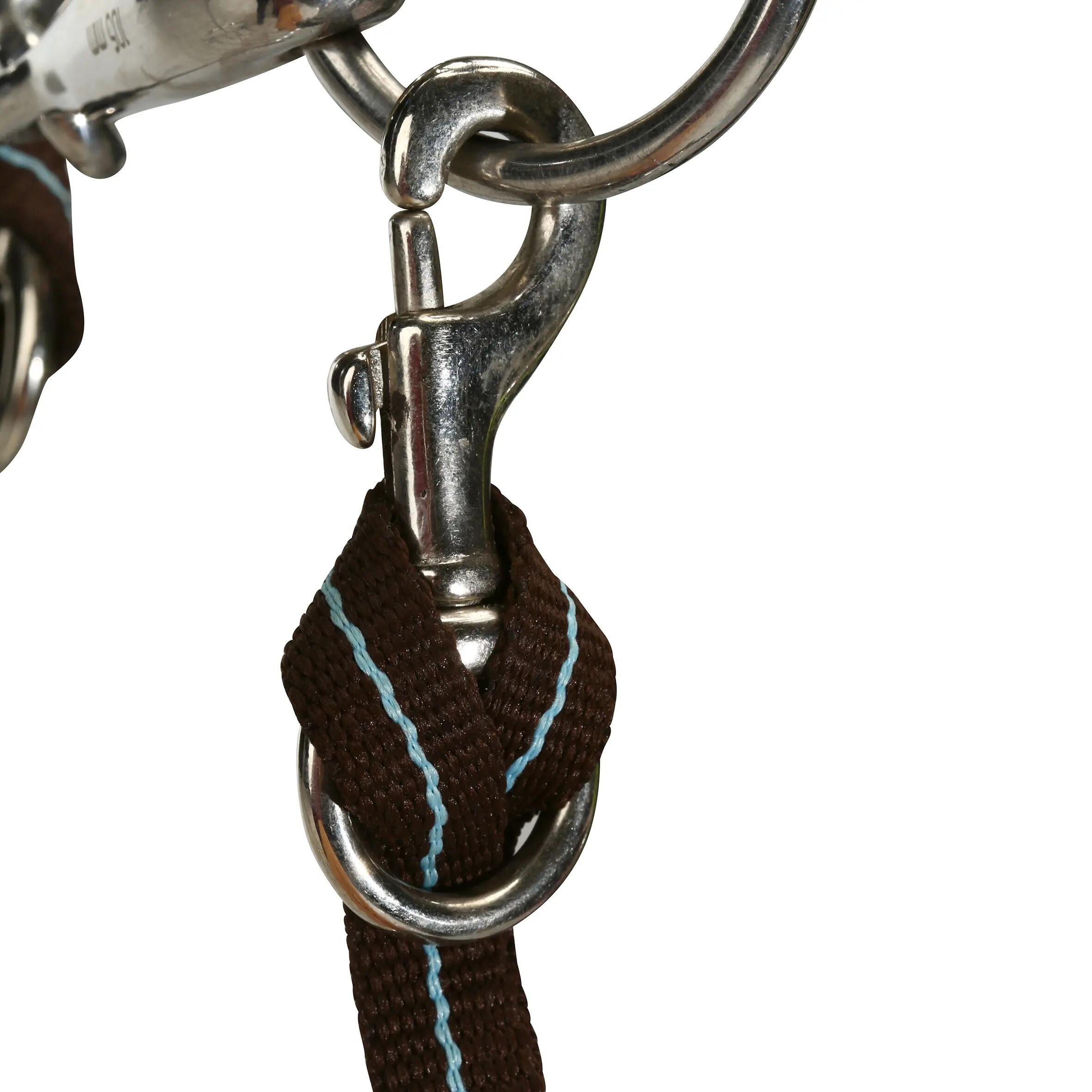 Initiation Horse Riding Pony Bridle + Reins - Brown/Sky Blue 7/14