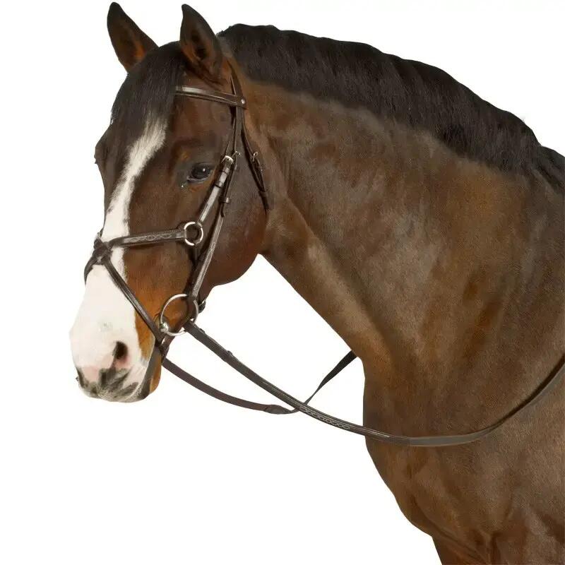 ROMEO horse riding bridle + reins set for horse or pony - brown 1/1