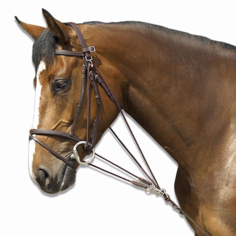 Taille Gogue Marron Équitation Schooling Poney SVUzMpqG