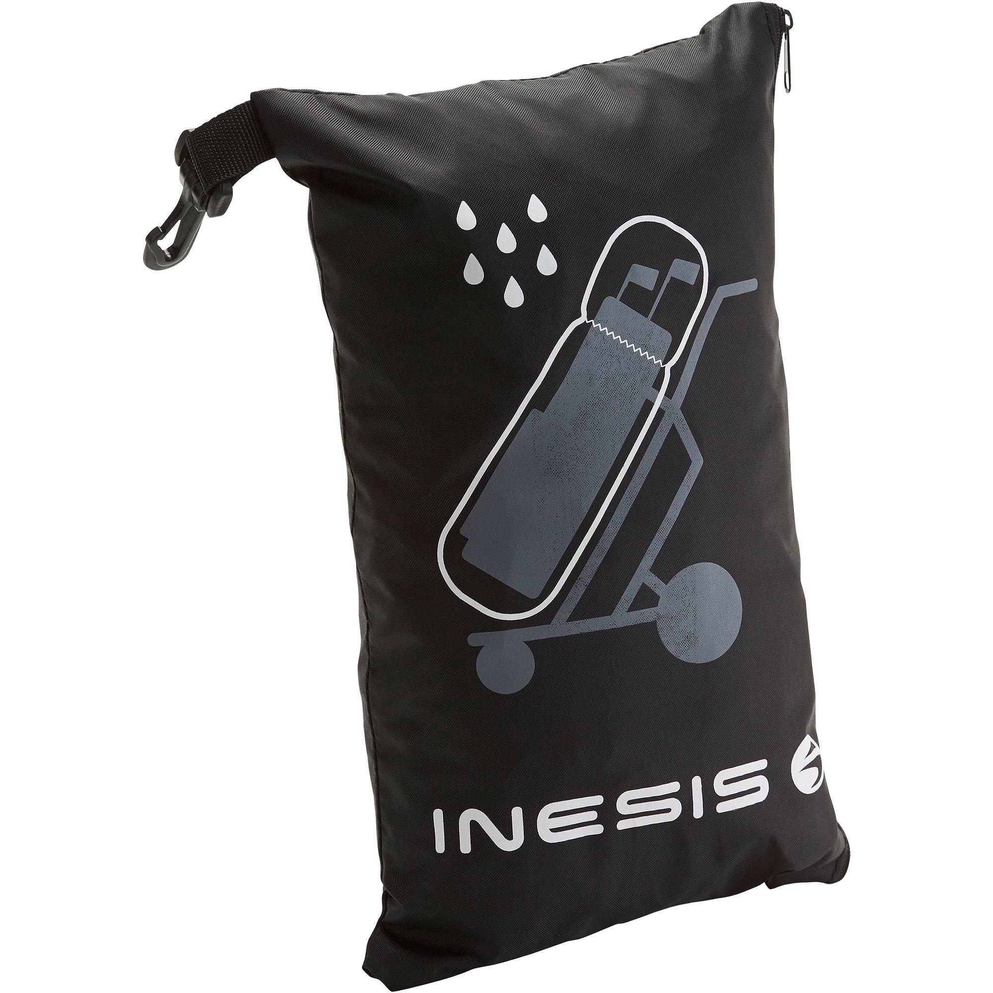 INESIS picture