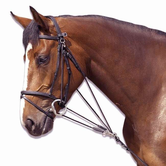 FOUGANZA Schooling Horse Riding Gogue For Horse Brown...