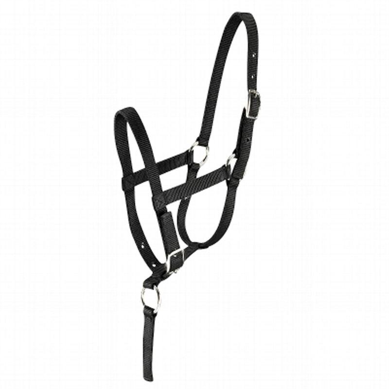 Cabestro equitación fouganza FOAL potro negro