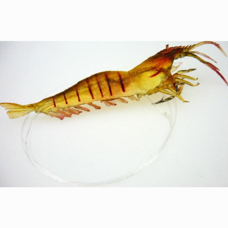 Large Prawn 7.5cm 40/100 Sea Fishing Rigged Line