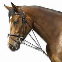 Schooling Horse Riding Gogue for Horse - Black