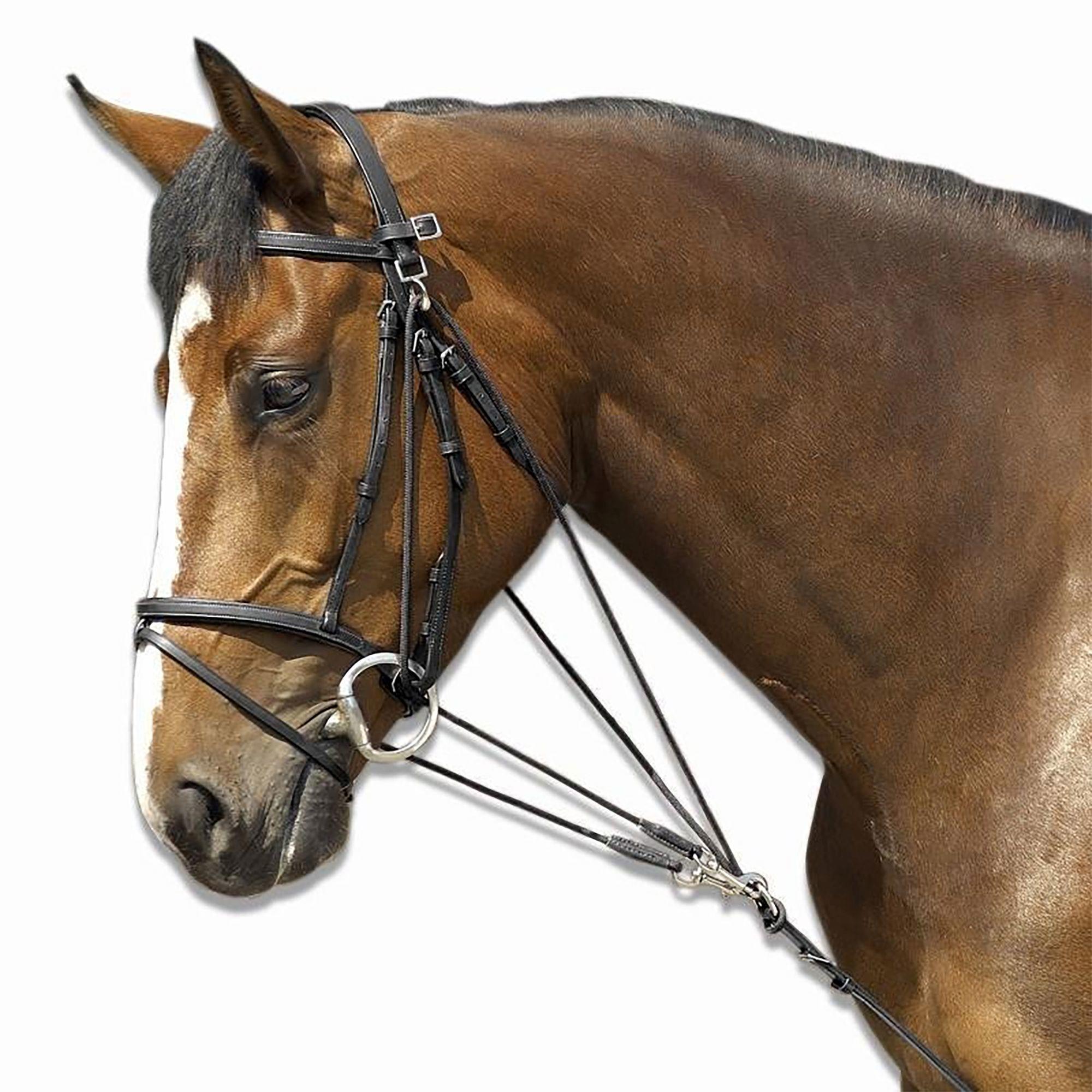 Gogue élastique Chetak pour Cheval