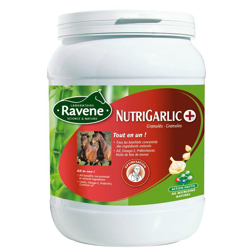 Ravene Voedingssupplement Ruitersport Paard En Pony Look Nutrigarlic 900 ravene kopen in de aanbieding Ravene Voedingssupplement Ruitersport Paard En Pony Look Nutrigarlic 900 ravene kopen in de aanbieding