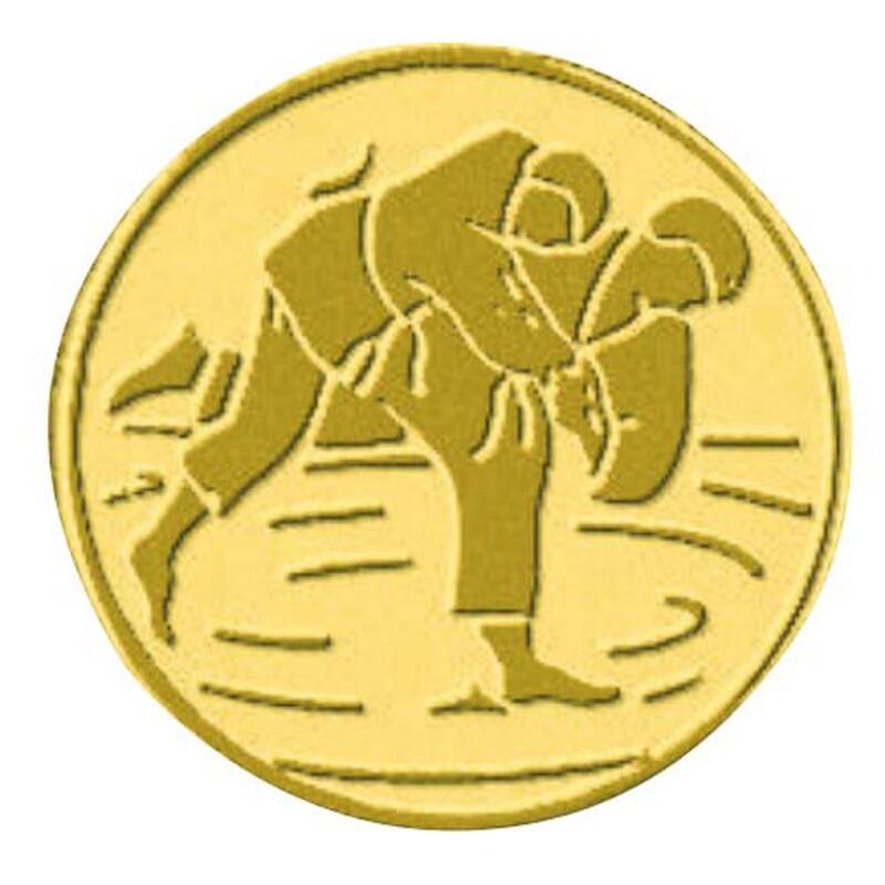 Médaillon judo