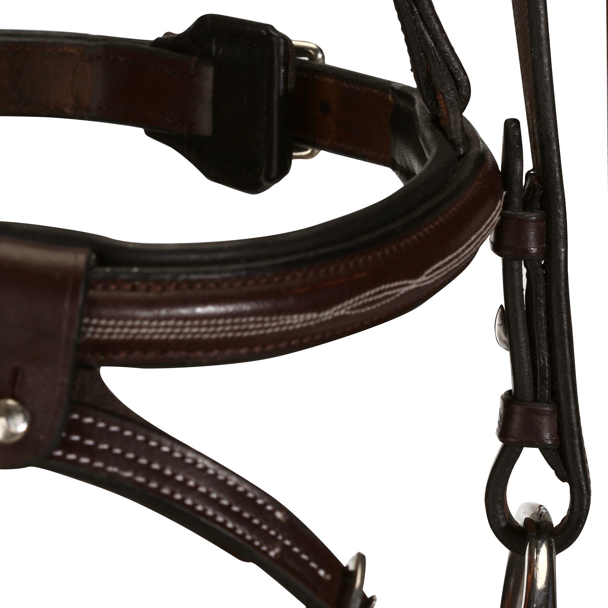 Tinckle Horse Riding Horse And Pony Bridle + Reins - Brown 10/16